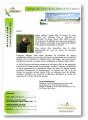 Lettre Info n°3 - 2010