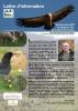 Lettre Info n°7 - 2014